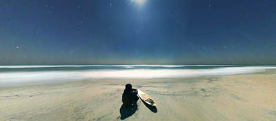 Assateague Island