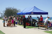 artb191008gcgbc542