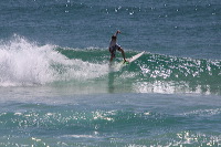 artb231108srsc213