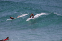 artb231108srsc365