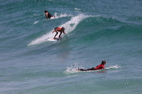 artb231108srsc366
