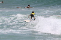 artb231108srsc531