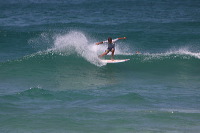 artb231108srsc842