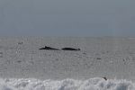 artb27july08srsc1725