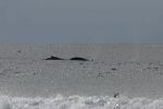 artb27july08srsc1726