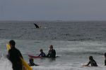 artb27july08srsc1737