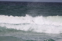 artb281208srsc425