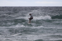 artb281208srsc569